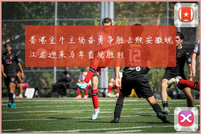 香港金牛主场奋勇争胜击败安徽皖江龙迎来马年首场胜利